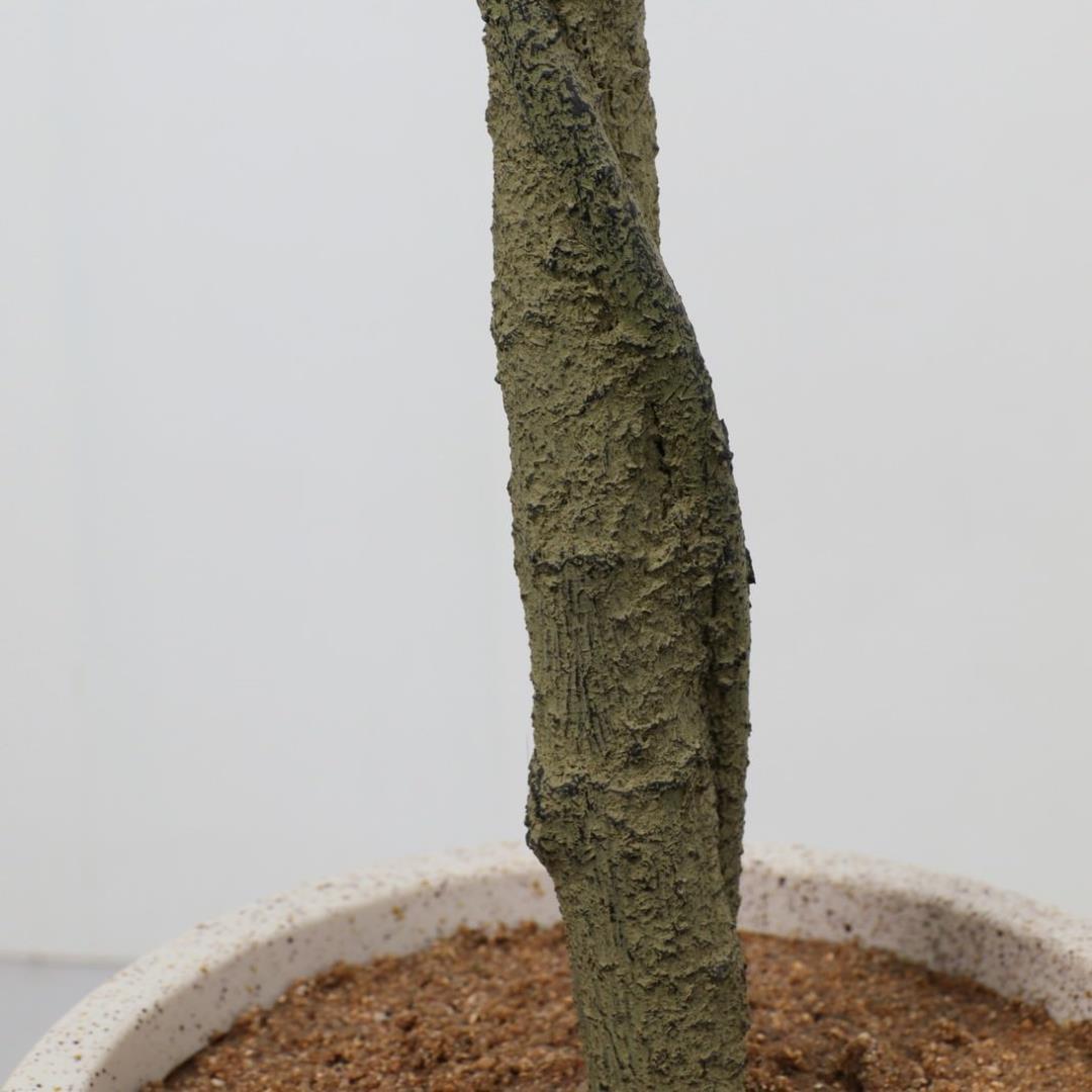 ベンジャミンポット 120cm|GLA-1583 アーティフィシャルグリーン 人工観葉植物 グリーン