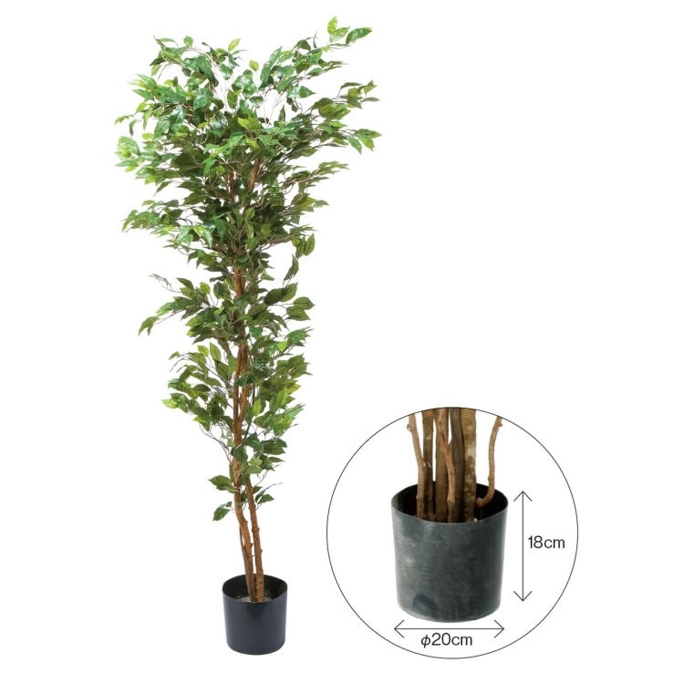 ベンジャミンフィカス 180cm|GLP-1290 アーティフィシャルグリーン 人工観葉植物 グリーン