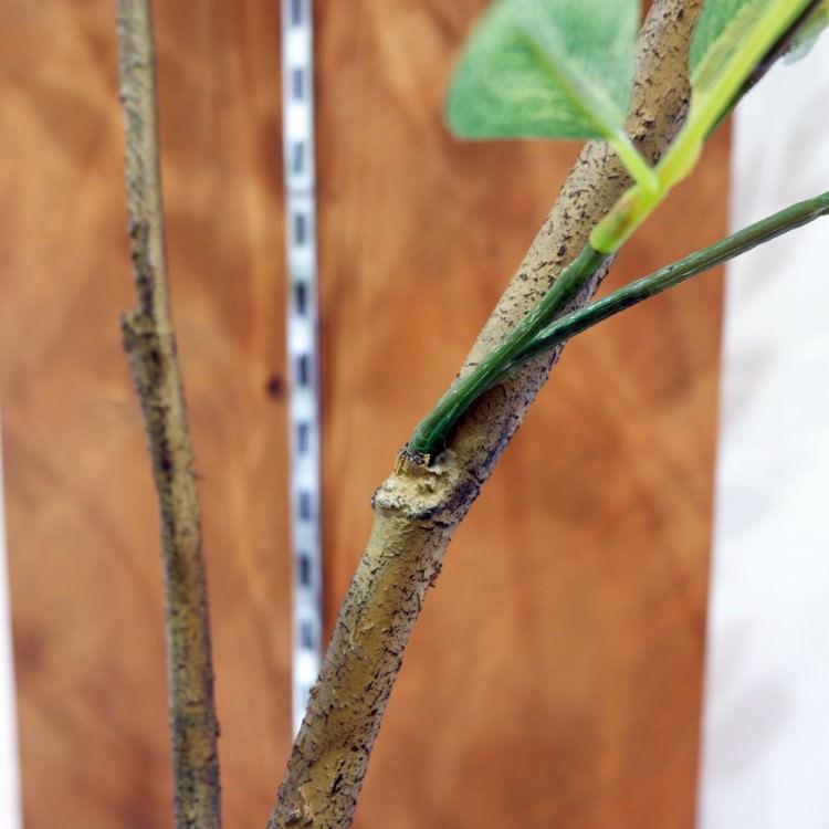 トネリコ 180cm|GLP-1497 アーティフィシャルグリーン 人工観葉植物 グリーン
