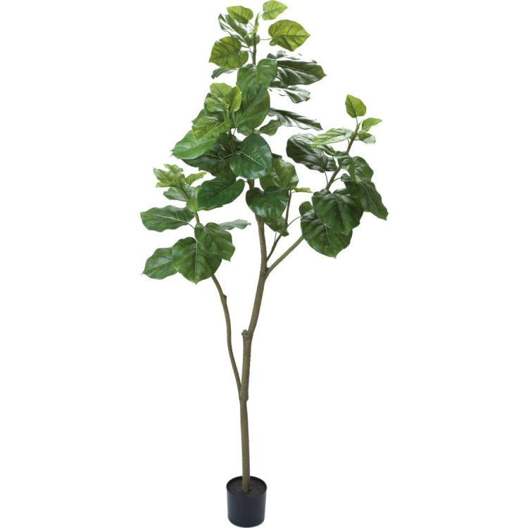 ウンベラータ 180cm|GLP-1498 アーティフィシャルグリーン 人工観葉植物 グリーン