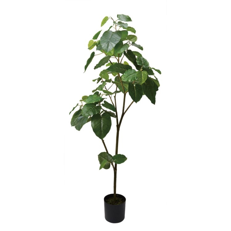 ウンベラータ 180cm|GLP-1512 アーティフィシャルグリーン 人工観葉植物 グリーン