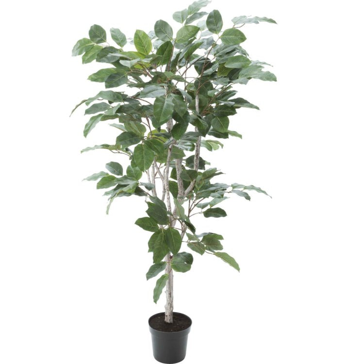 フィカスベンガレンシス 160cm|GLP-1517 アーティフィシャルグリーン 人工観葉植物 グリーン