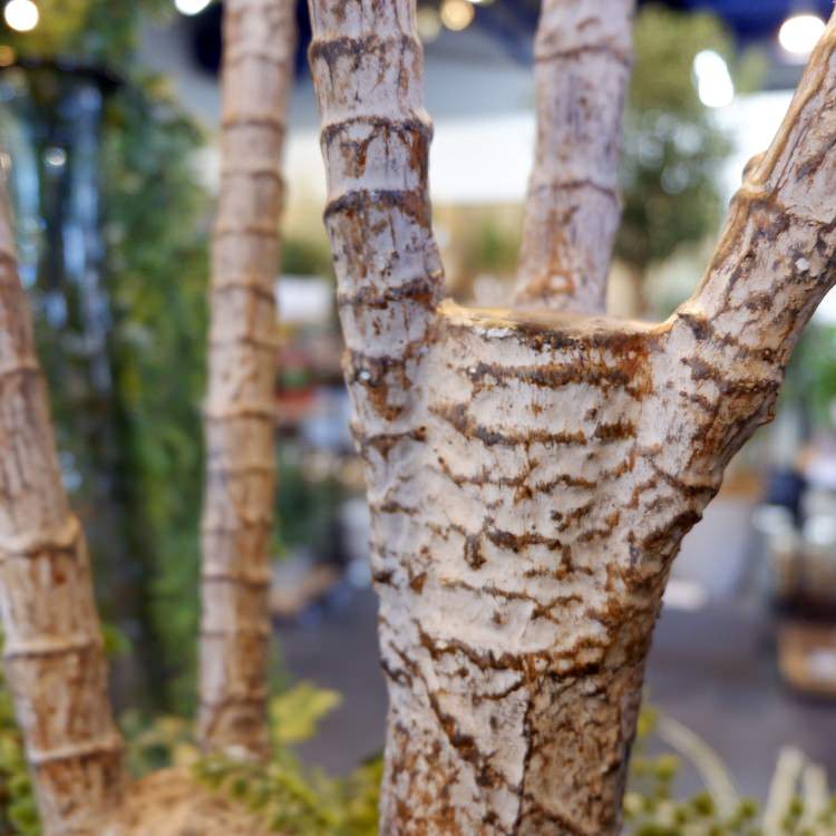 ユッカツリー 195cm|GLP-1524 アーティフィシャルグリーン 人工観葉植物 グリーン