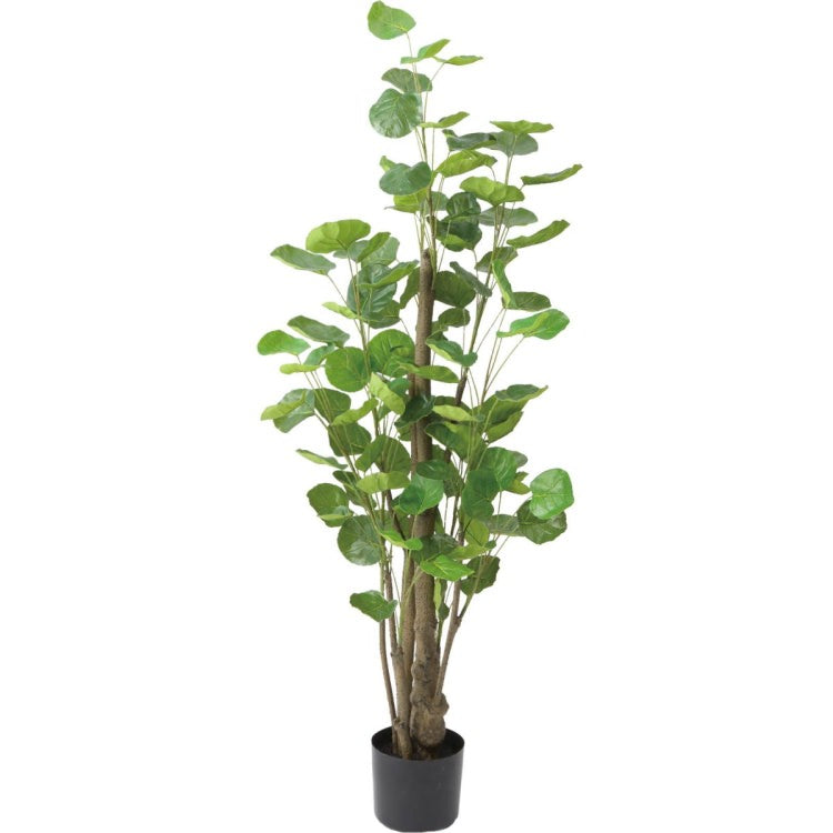 ポリシャスフリスビー 130cm|GLP-1530 アーティフィシャルグリーン 人工観葉植物 グリーン