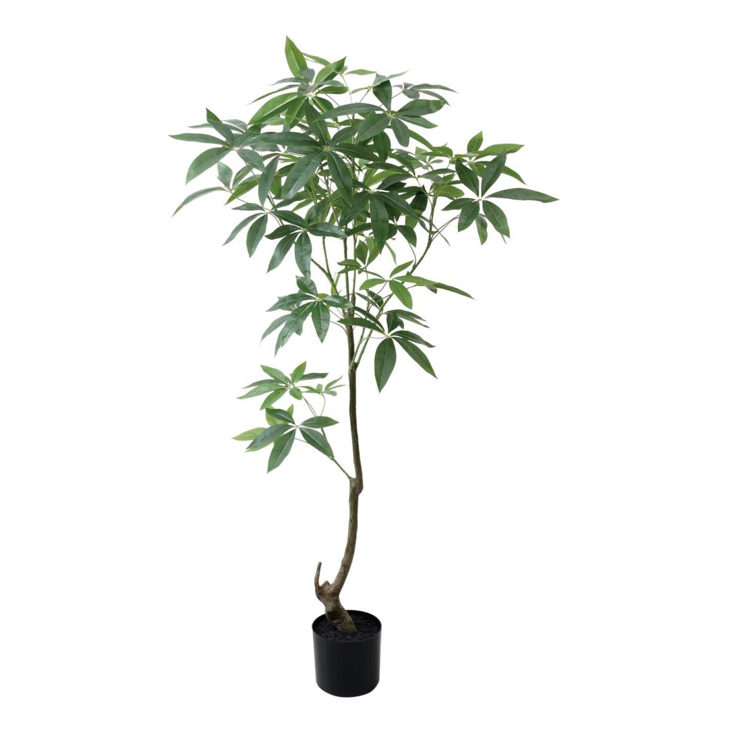 パキラ 150cm|GLP-1565 アーティフィシャルグリーン 人工観葉植物 グリーン