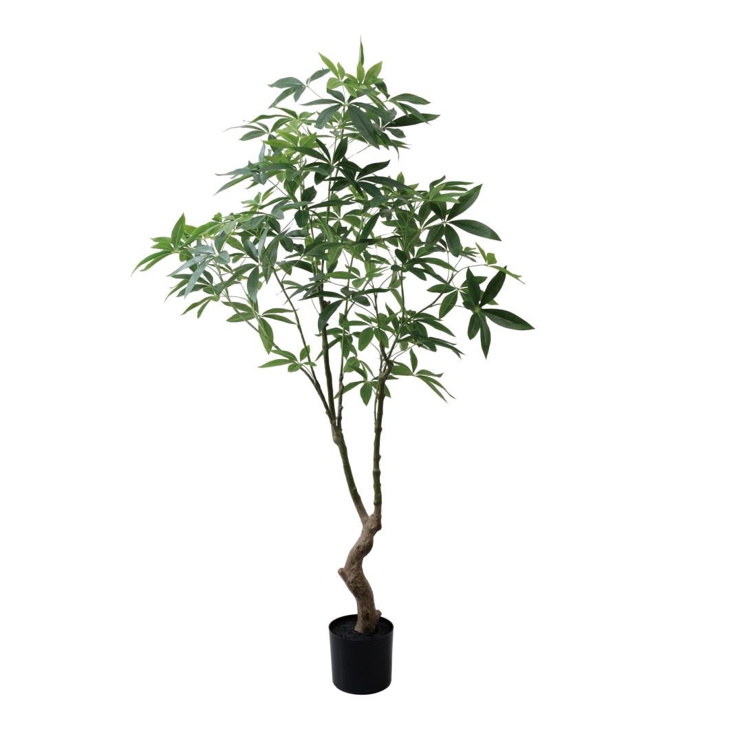パキラ 180cm|GLP-1566 アーティフィシャルグリーン 人工観葉植物 グリーン