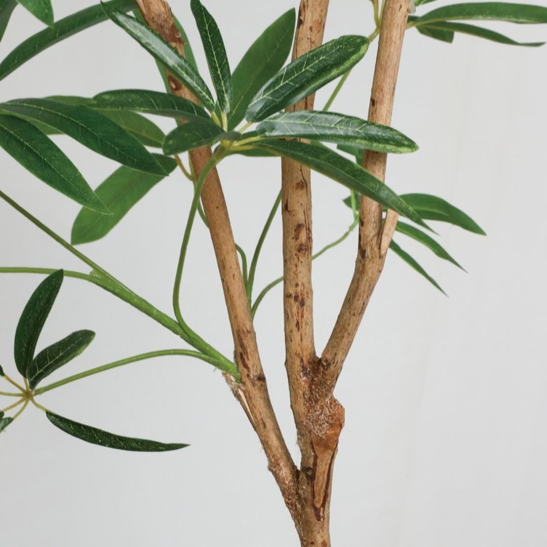 シェフレラアンガスティフォリア 180cm|GLP-1568 アーティフィシャルグリーン 人工観葉植物 グリーン