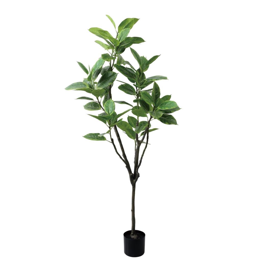 フィカスアルテシマ 150cm|GLP-1569 アーティフィシャルグリーン 人工観葉植物 グリーン