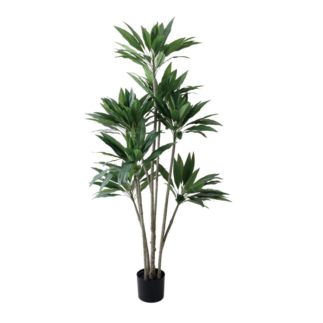ドラセナストリクタ 190cm|GLP-1575 アーティフィシャルグリーン 人工観葉植物 グリーン