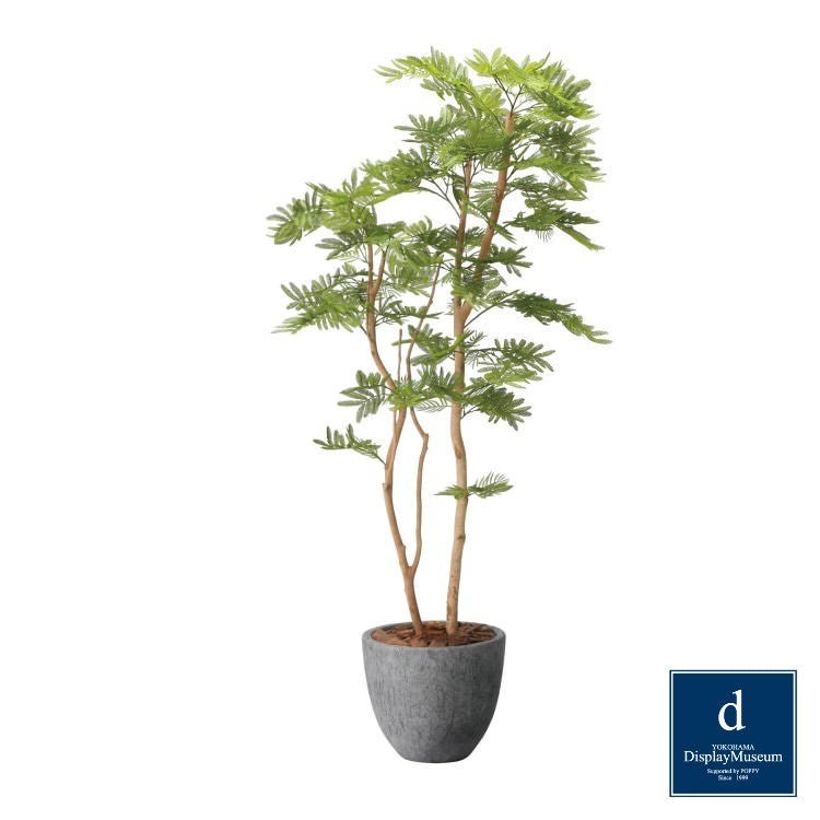 ねむの木 160cm(ポリ製)|GLPA-086アーティフィシャルグリーン 人工観葉植物 鉢付きグリーン