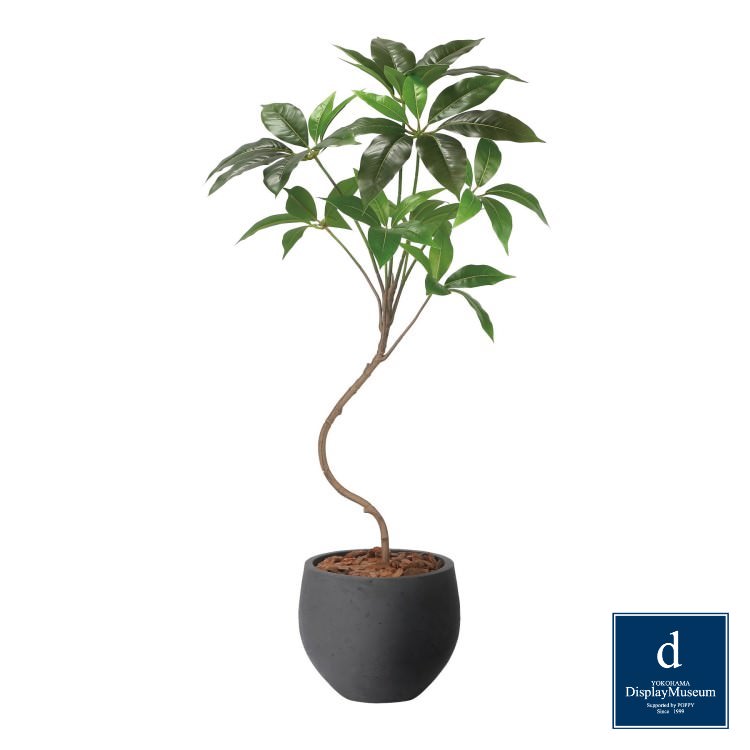 ナチュラルツピタンサス 100cm|GLPA-093アーティフィシャルグリーン 人工観葉植物 鉢付きグリーン