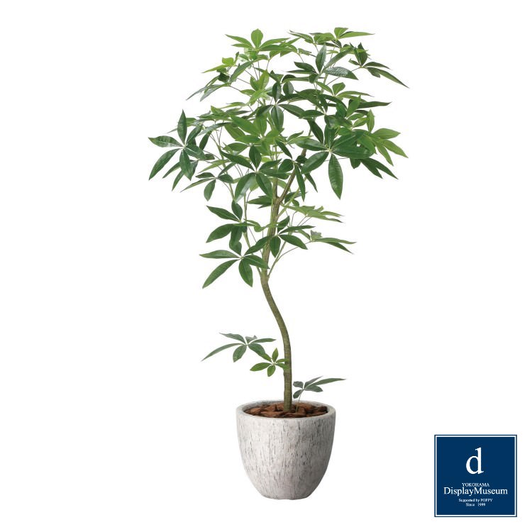 ナチュラルパキラ 160cm|GLPA-095 アーティフィシャルグリーン 人工観葉植物 鉢付きグリーン