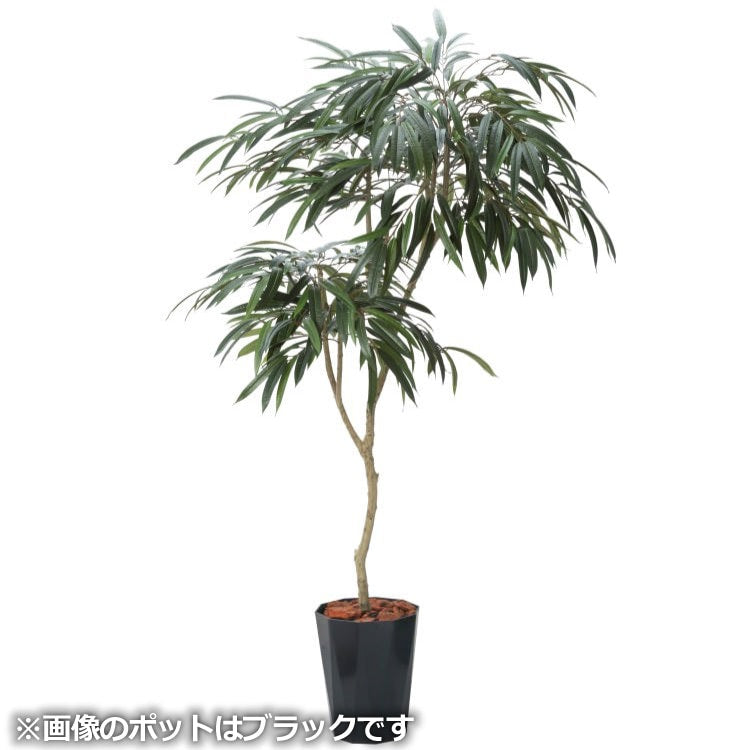 180cmショウナンゴムポット|GLPS-1516BKL アーティフィシャルグリーン 人工観葉植物 鉢付きグリーン