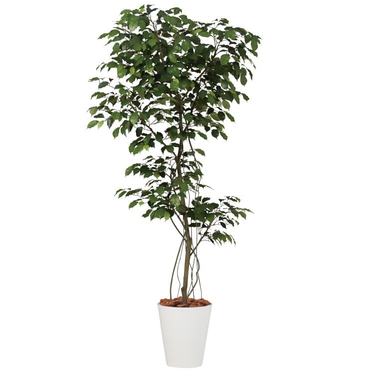 ベンジャミン1.5m|GLPT-207 アーティフィシャルグリーン 人工観葉植物 鉢付きグリーン