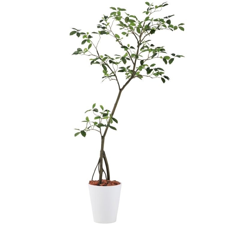 ガジュマル1.5m|GLPT-214 アーティフィシャルグリーン 人工観葉植物 鉢付きグリーン