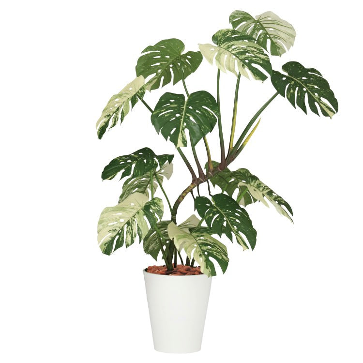 モンステラバリエガータ1.4m|GLPT-225 アーティフィシャルグリーン 人工観葉植物 鉢付きグリーン