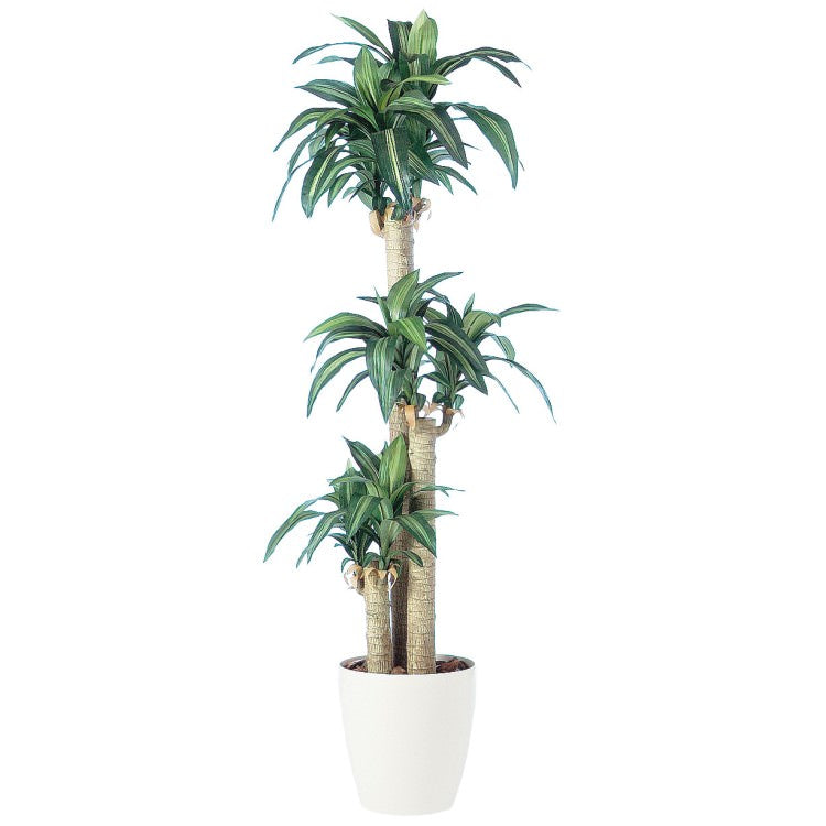 マッサンゲアナ W70×H170cm|TK91261 アーティフィシャルグリーン 人工観葉植物 人工樹木 鉢付きグリーン