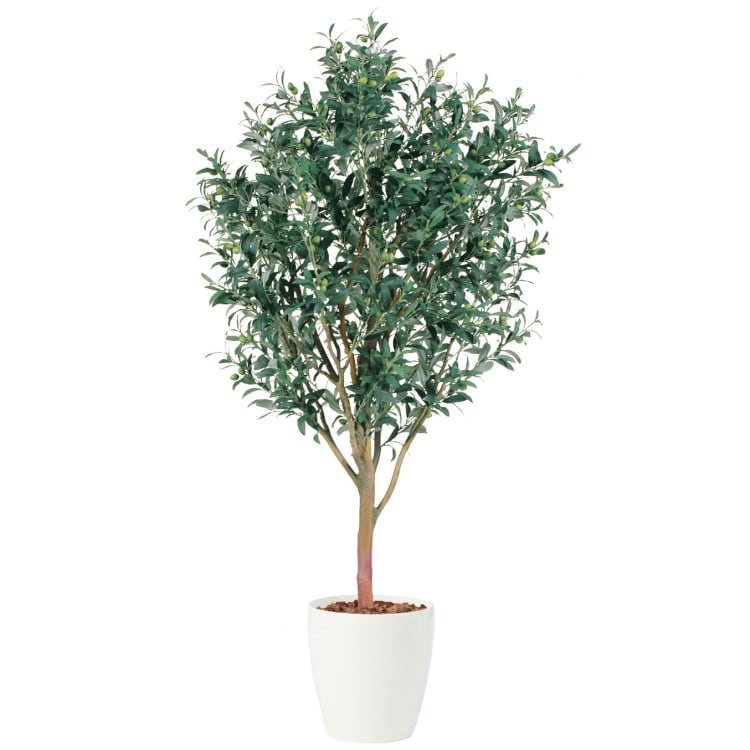 ライプオリーブ W80×H150cm|TK91394 アーティフィシャルグリーン 人工観葉植物 人工樹木 鉢付きグリーン