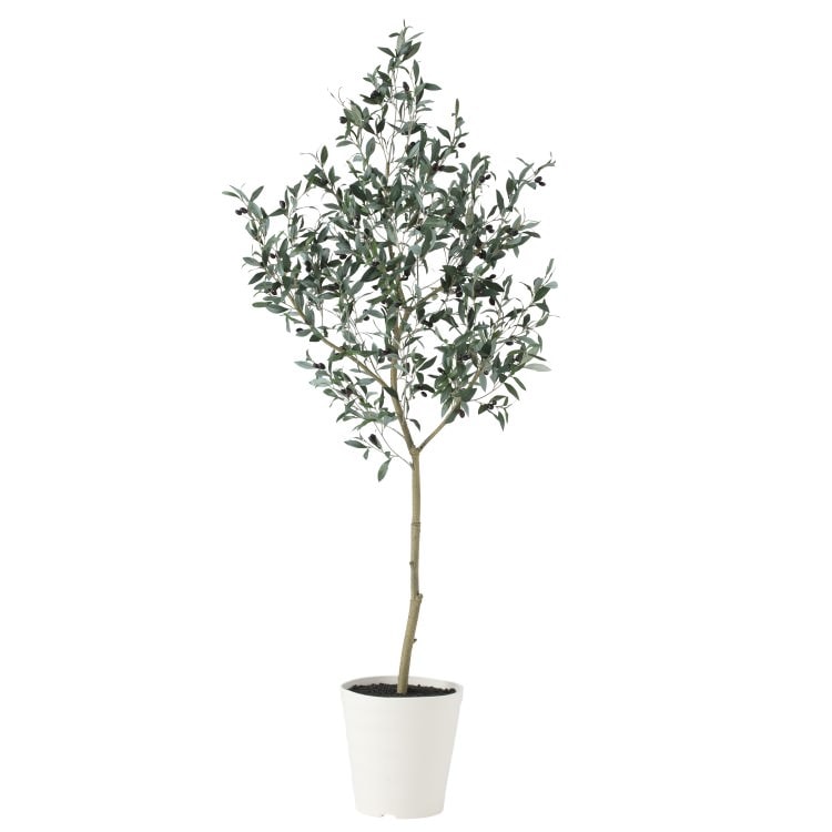 ブラックオリーブ FST W80×H180cm|TK91626 アーティフィシャルグリーン 人工観葉植物 人工樹木 鉢付きグリーン