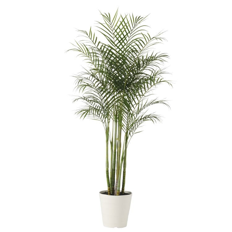 アレカヤシ株立 PE W100×H200cm|TK91629 アーティフィシャルグリーン 人工観葉植物 人工樹木 鉢付きグリーン
