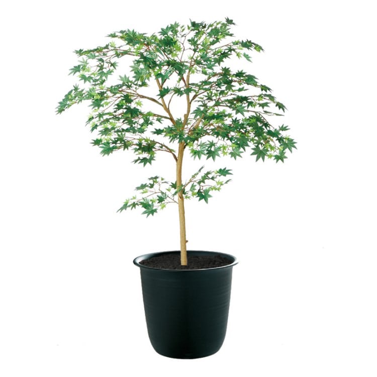 ヤマモミジ GREEN FST W70×H100cm|TK91761 アーティフィシャルグリーン 人工観葉植物 人工樹木 鉢付きグリーン