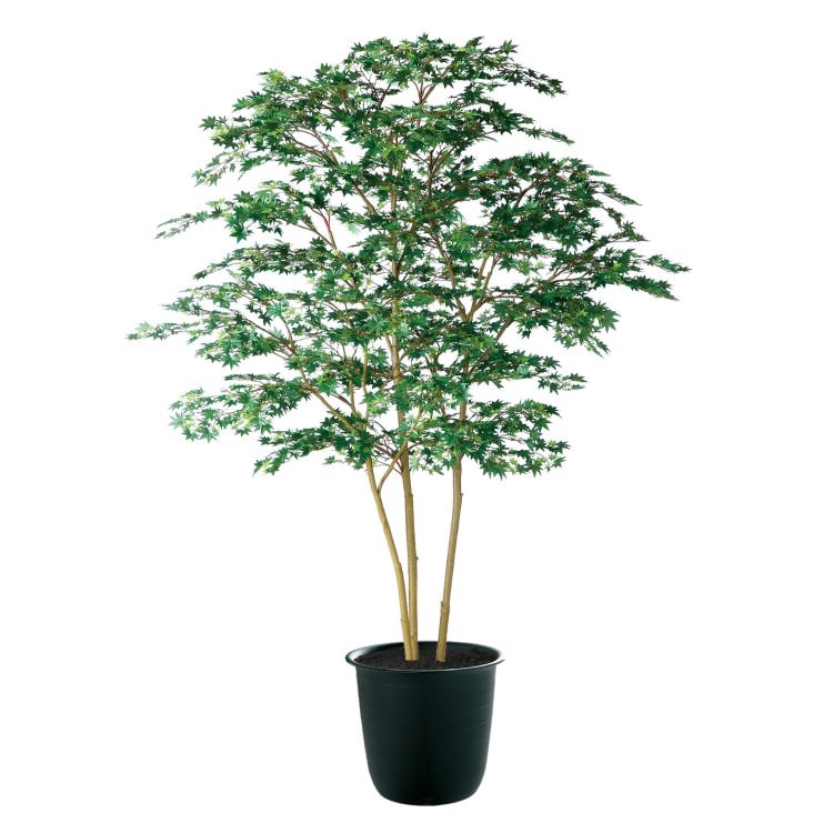 ヤマモミジ株立 GREEN FST W140×H200cm|TK91762 アーティフィシャルグリーン 人工観葉植物 人工樹木 鉢付きグリーン