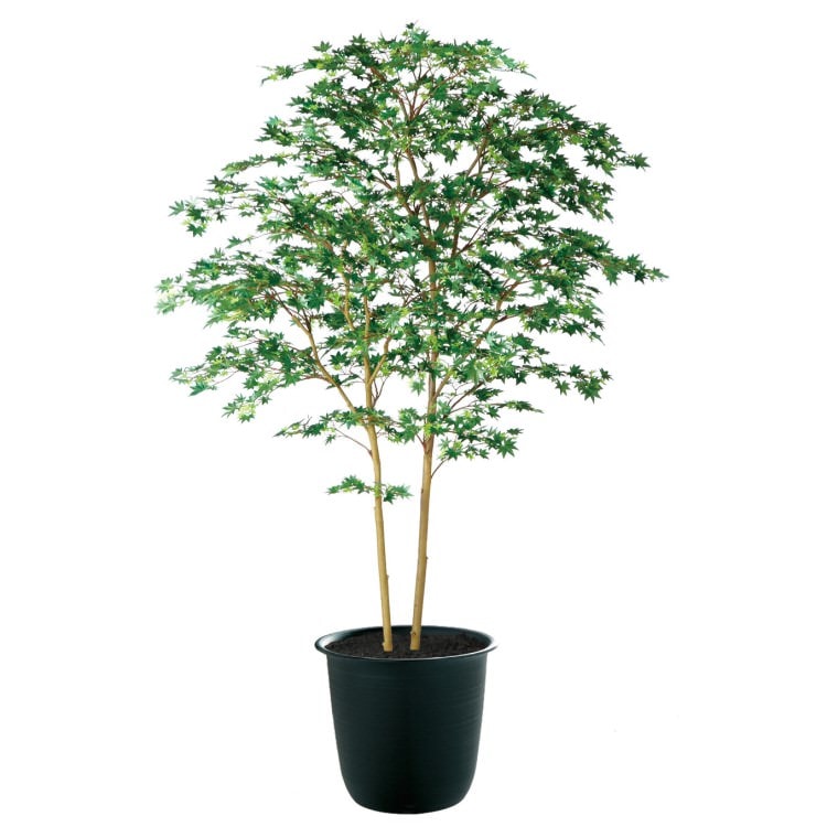 ヤマモミジ株立 GREEN FST W120×H180cm|TK91763 アーティフィシャルグリーン 人工観葉植物 人工樹木 鉢付きグリーン