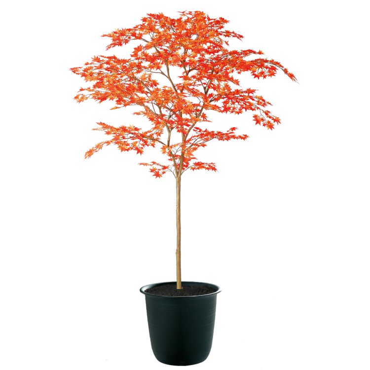 ヤマモミジ RED FST W110×H180cm|TK91768 アーティフィシャルグリーン 人工観葉植物 人工樹木 鉢付きグリーン