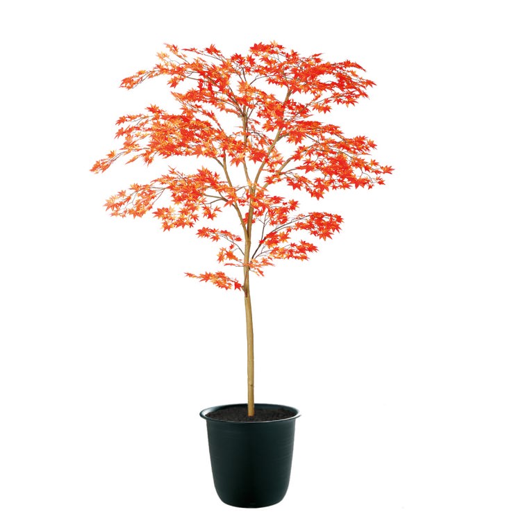 ヤマモミジ RED FST W100×H150cm|TK91769 アーティフィシャルグリーン 人工観葉植物 人工樹木 鉢付きグリーン