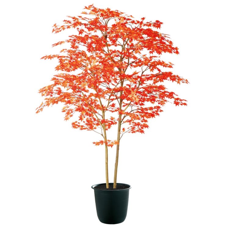ヤマモミジ株立 RED FST W120×H180cm|TK91772 アーティフィシャルグリーン 人工観葉植物 人工樹木 鉢付きグリーン
