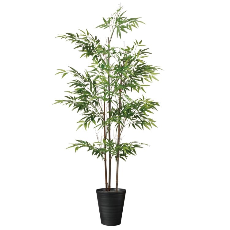 黒竹3本立 W85×H200cm|TK91788 アーティフィシャルグリーン 人工観葉植物 人工樹木 鉢付きグリーン