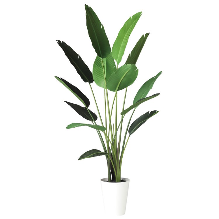オーガスタ W90×H190cm|TK91873 アーティフィシャルグリーン 人工観葉植物 人工樹木 鉢付きグリーン