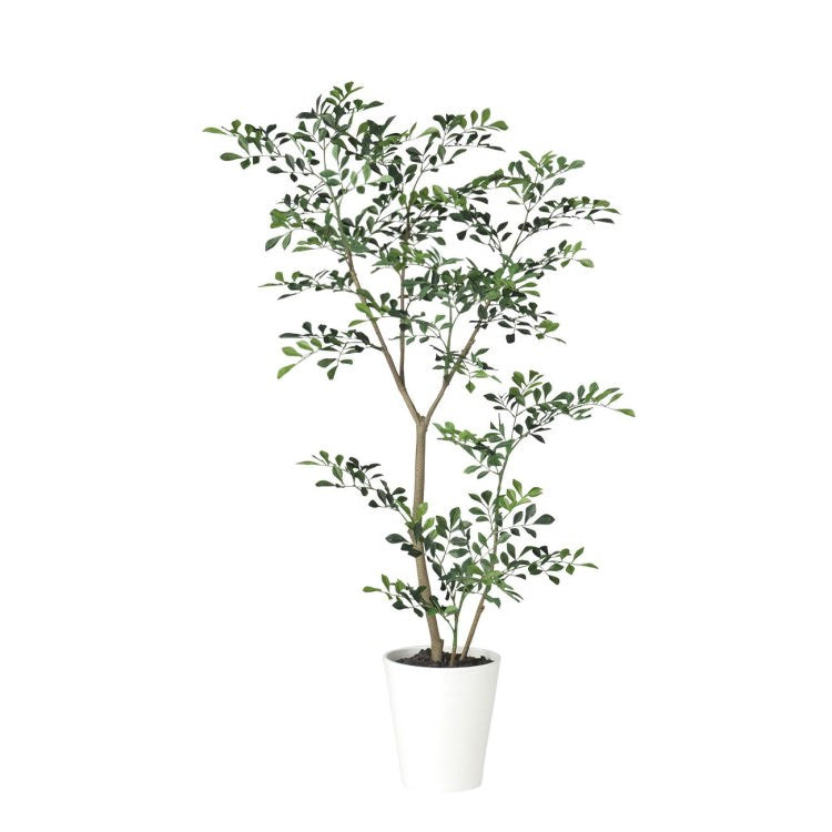 トネリコ FST W60×H120cm|TK91886 アーティフィシャルグリーン 人工観葉植物 人工樹木 鉢付きグリーン