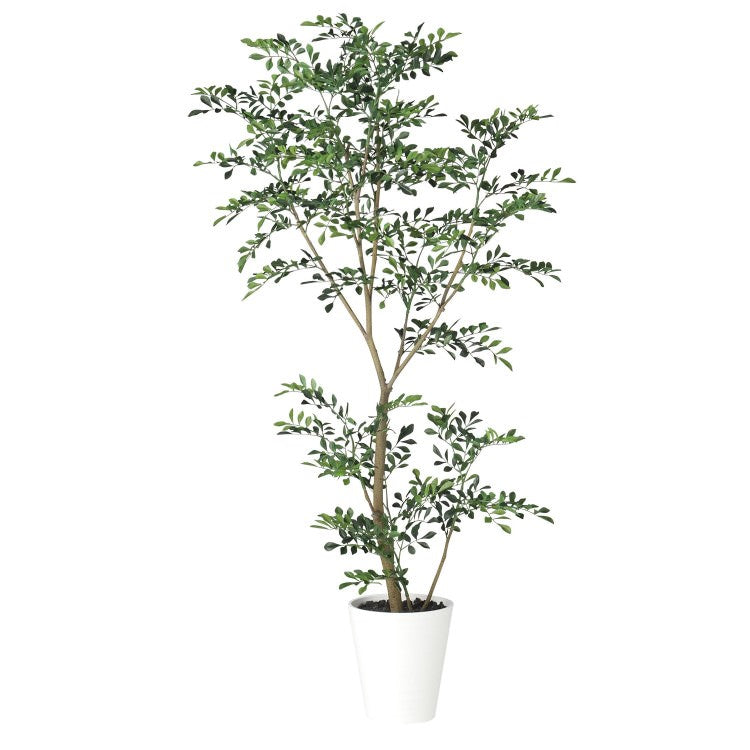 トネリコ FST W70×H150cm|TK91887 アーティフィシャルグリーン 人工観葉植物 人工樹木 鉢付きグリーン