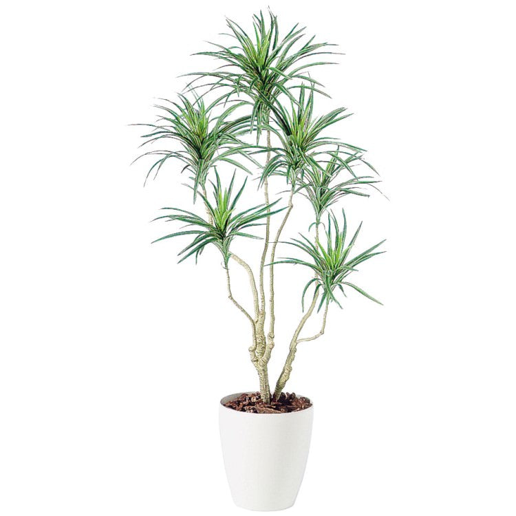 コンシナトリコロル W70×H140cm|TK98551 アーティフィシャルグリーン 人工観葉植物 人工樹木 鉢付きグリーン