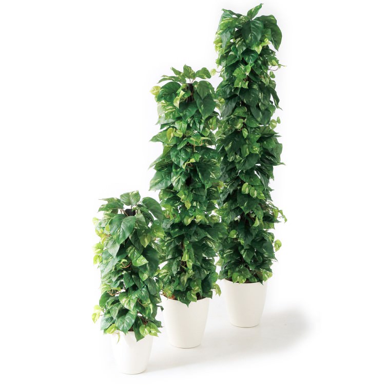 ポトスヘゴ-DX W35×H90cm|TK98657 アーティフィシャルグリーン 人工観葉植物 人工樹木 鉢付きグリーン