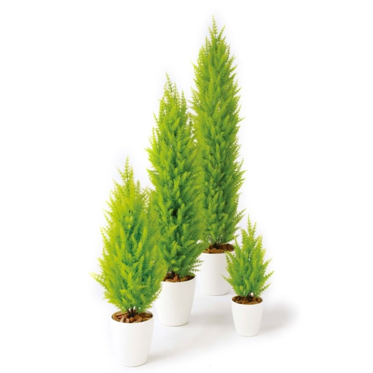 ゴールドクレストツリー W30×H110cm|TK98838 アーティフィシャルグリーン 人工観葉植物 人工樹木 鉢付きグリーン