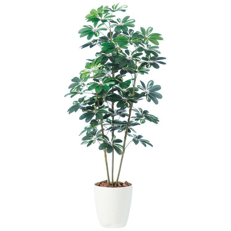 シェフレラ W75×H150cm|TK98892 アーティフィシャルグリーン 人工観葉植物 人工樹木 鉢付きグリーン