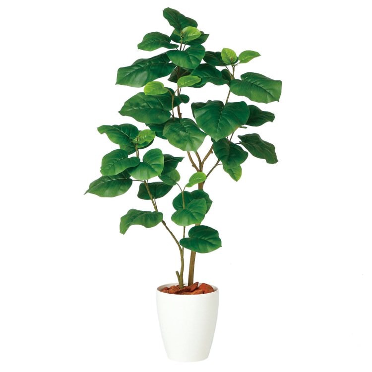 ウンベラータ2本立 FST W60×H120cm|TK98920 アーティフィシャルグリーン 人工観葉植物 人工樹木 鉢付きグリーン