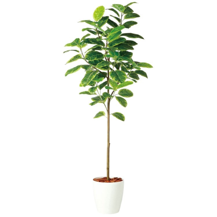 アルテシマ FST W70×H200cm|TK98926 アーティフィシャルグリーン 人工観葉植物 人工樹木 鉢付きグリーン