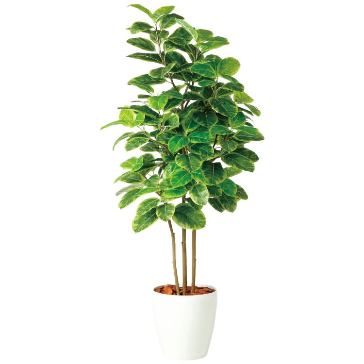 アルテシマ株立 FST W90×H200cm|TK98938 アーティフィシャルグリーン 人工観葉植物 人工樹木 鉢付きグリーン