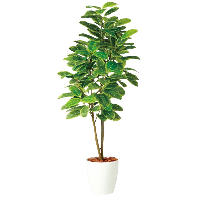 アルテシマ株立 FST W80×H180cm|TK98940 アーティフィシャルグリーン 人工観葉植物 人工樹木 鉢付きグリーン