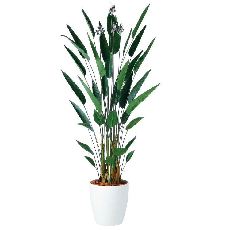 カンナ W80×H180cm|TK98955 アーティフィシャルグリーン 人工観葉植物 人工樹木 鉢付きグリーン