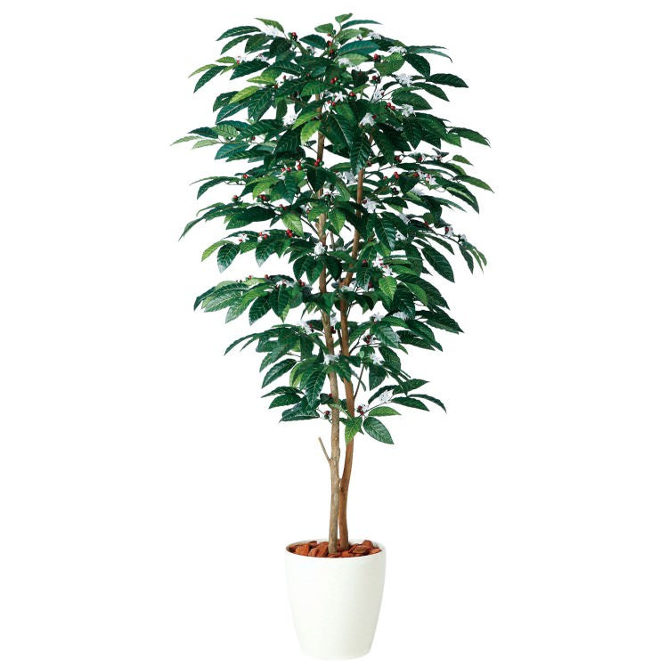 コーヒーデュアル W90×H200cm|TK98987 アーティフィシャルグリーン 人工観葉植物 人工樹木 鉢付きグリーン