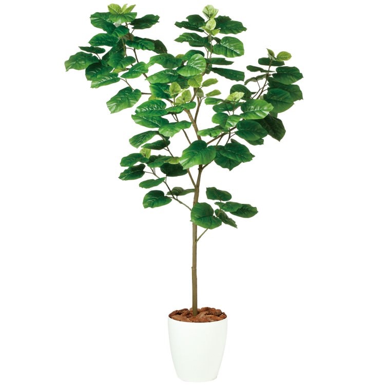 ウンベラータ FST W110×H180cm|TK99100 アーティフィシャルグリーン 人工観葉植物 人工樹木 鉢付きグリーン