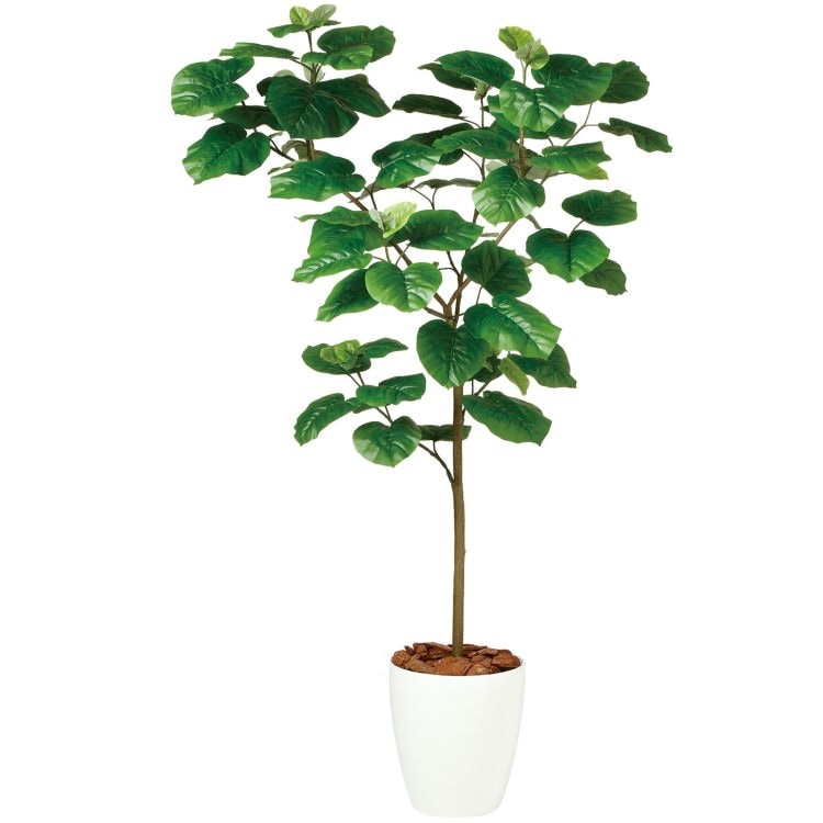 ウンベラータ FST W80×H150cm|TK99103 アーティフィシャルグリーン 人工観葉植物 人工樹木 鉢付きグリーン