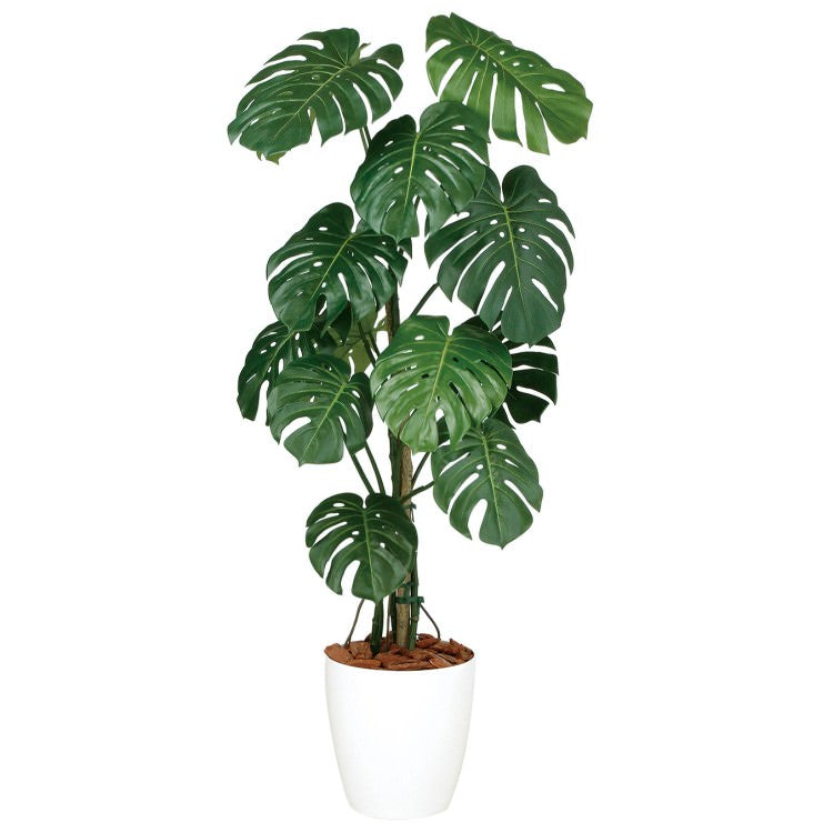 モンステラバイン W70×H150cm|TK99127 アーティフィシャルグリーン 人工観葉植物 人工樹木 鉢付きグリーン