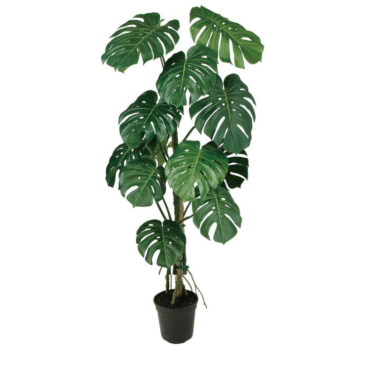 モンステラバイン W70×H150cm|TK99129 アーティフィシャルグリーン 人工観葉植物 人工樹木 グリーン