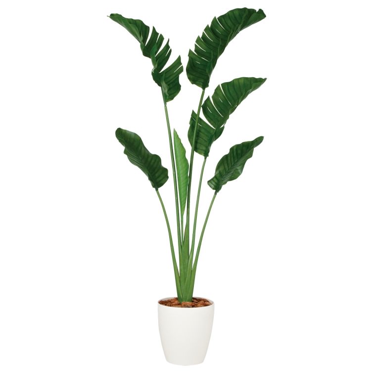 ストレリチア・オーガスタ W90×H200cm|TK99163 アーティフィシャルグリーン 人工観葉植物 人工樹木 鉢付きグリーン