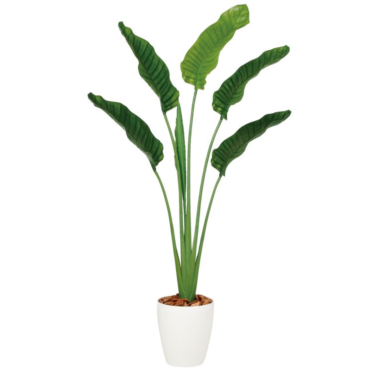ストレリチア・オーガスタ W90×H160cm|TK99166 アーティフィシャルグリーン 人工観葉植物 人工樹木 鉢付きグリーン